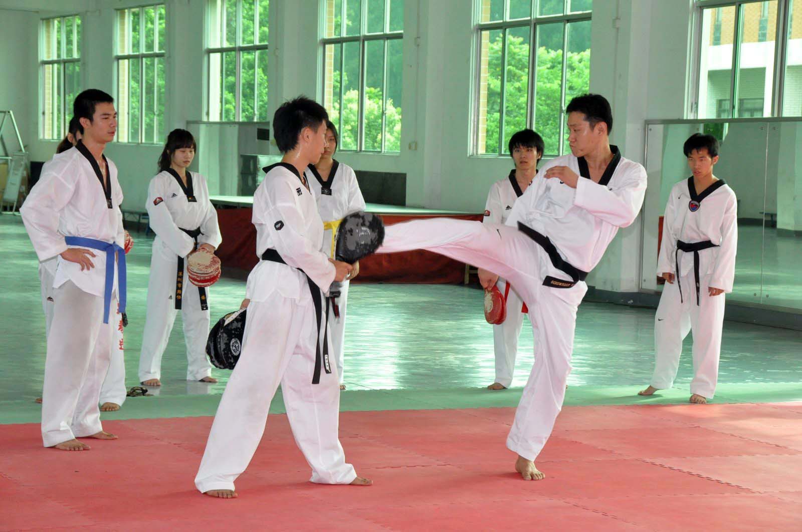 伟德bv国际体育