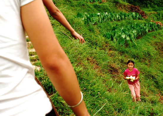 伟德bv国际体育