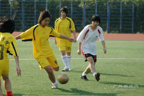 伟德bv国际体育