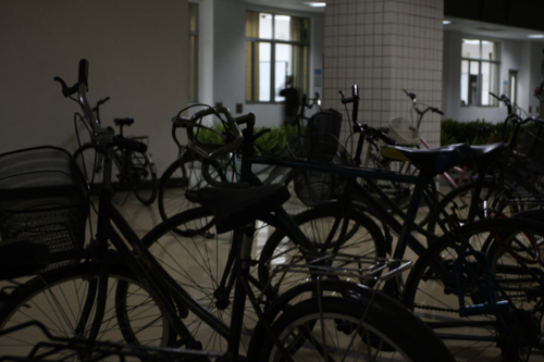 伟德bv国际体育