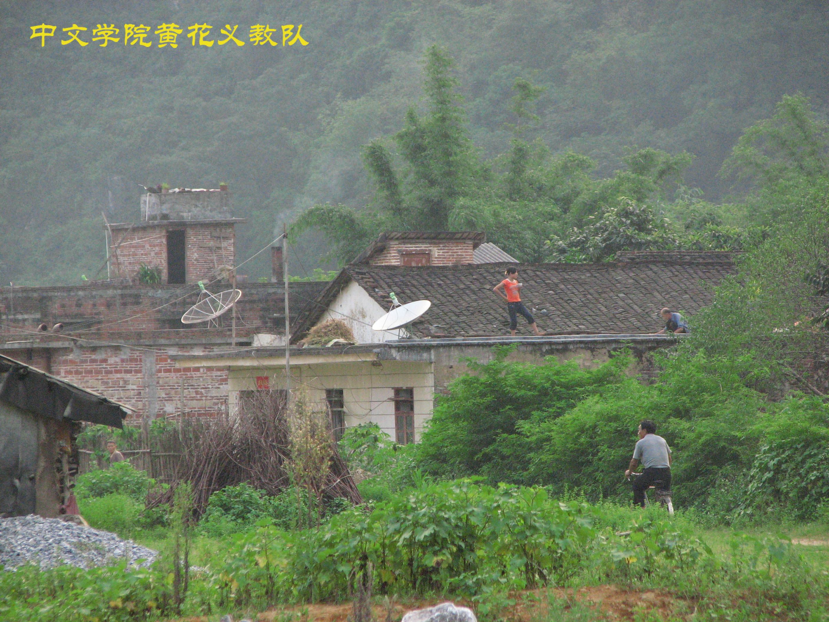 伟德bv国际体育