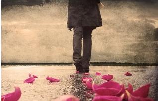 伟德bv国际体育