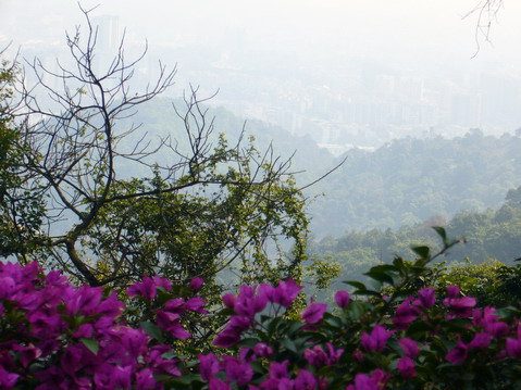 伟德bv国际体育