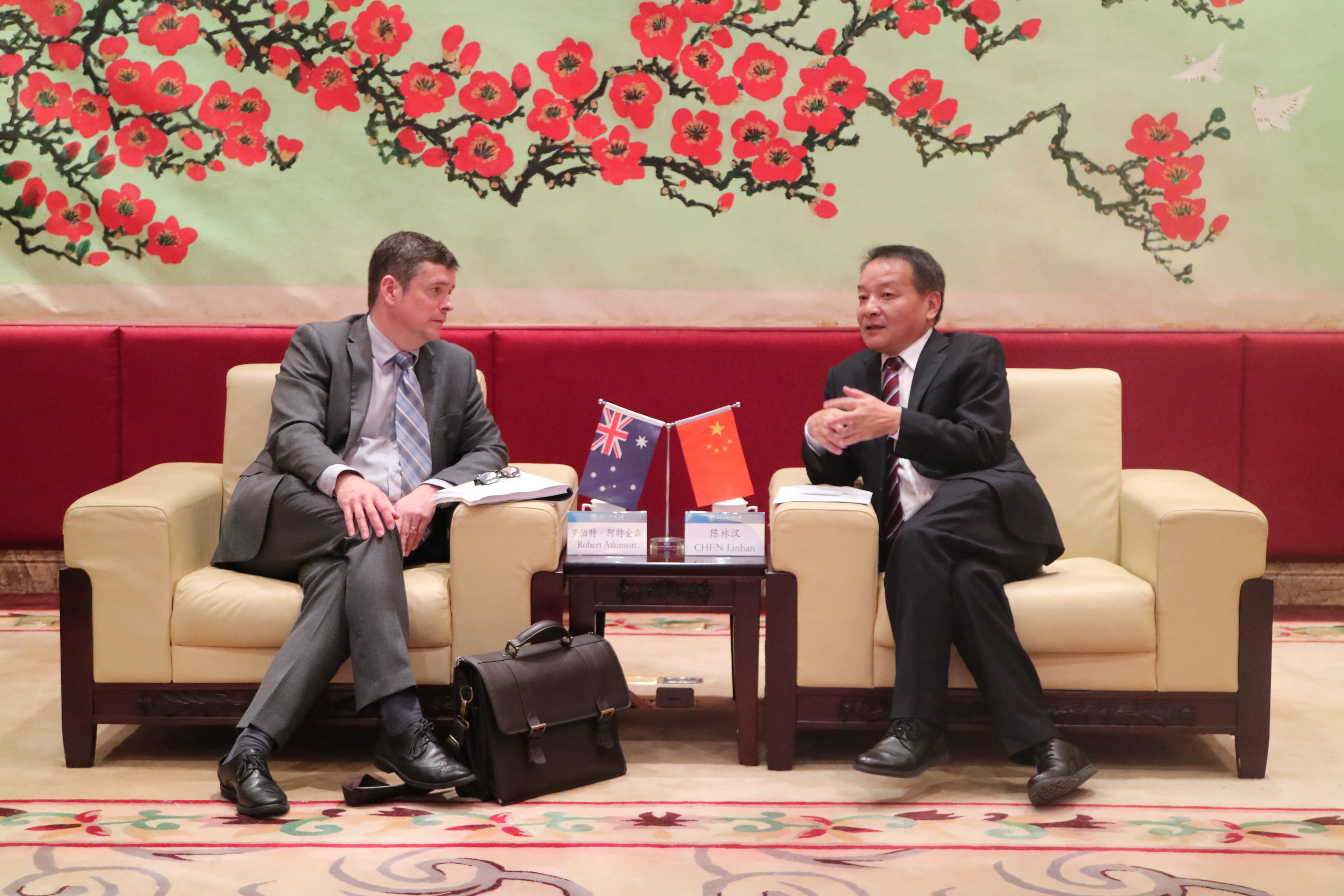 伟德bv国际体育