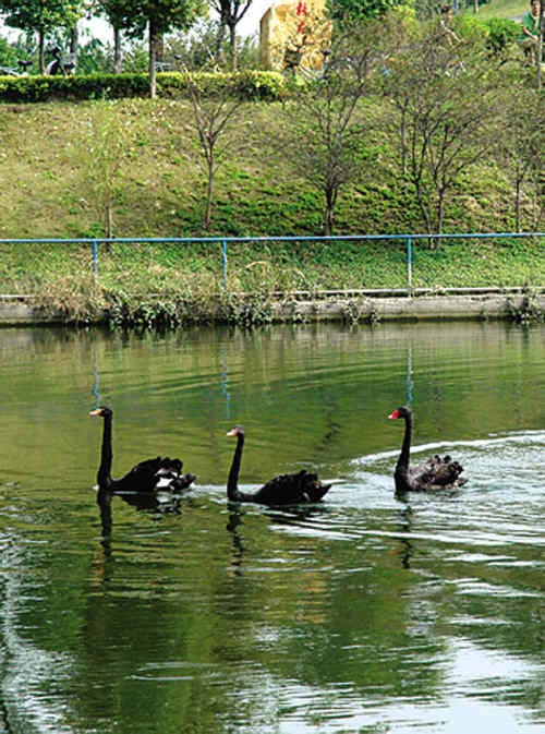 伟德bv国际体育