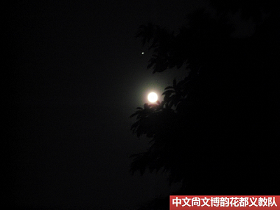 伟德bv国际体育