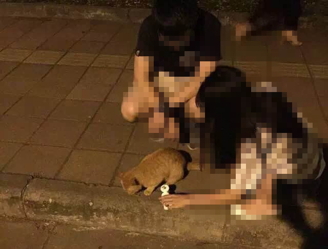 伟德bv国际体育