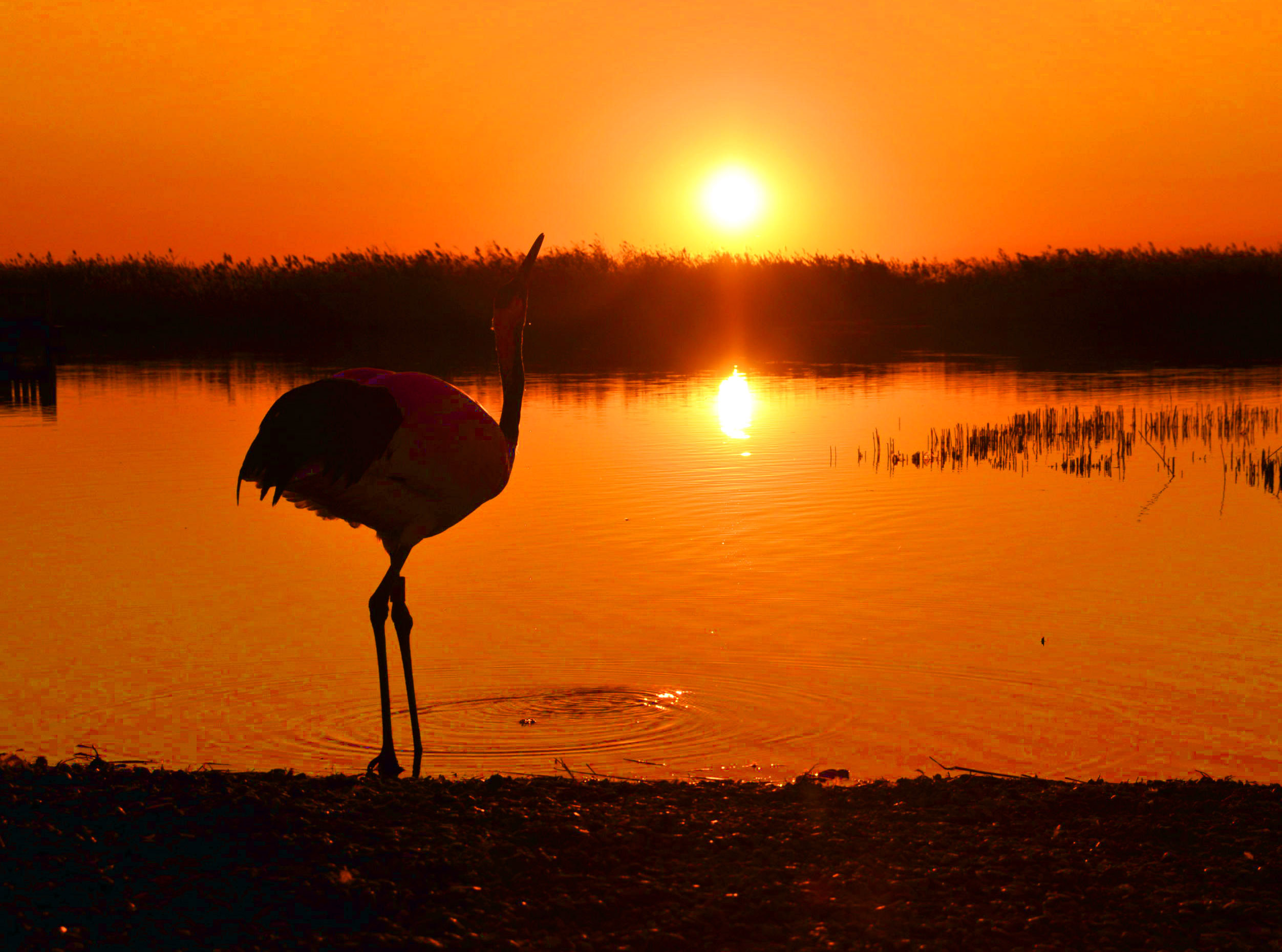 伟德bv国际体育