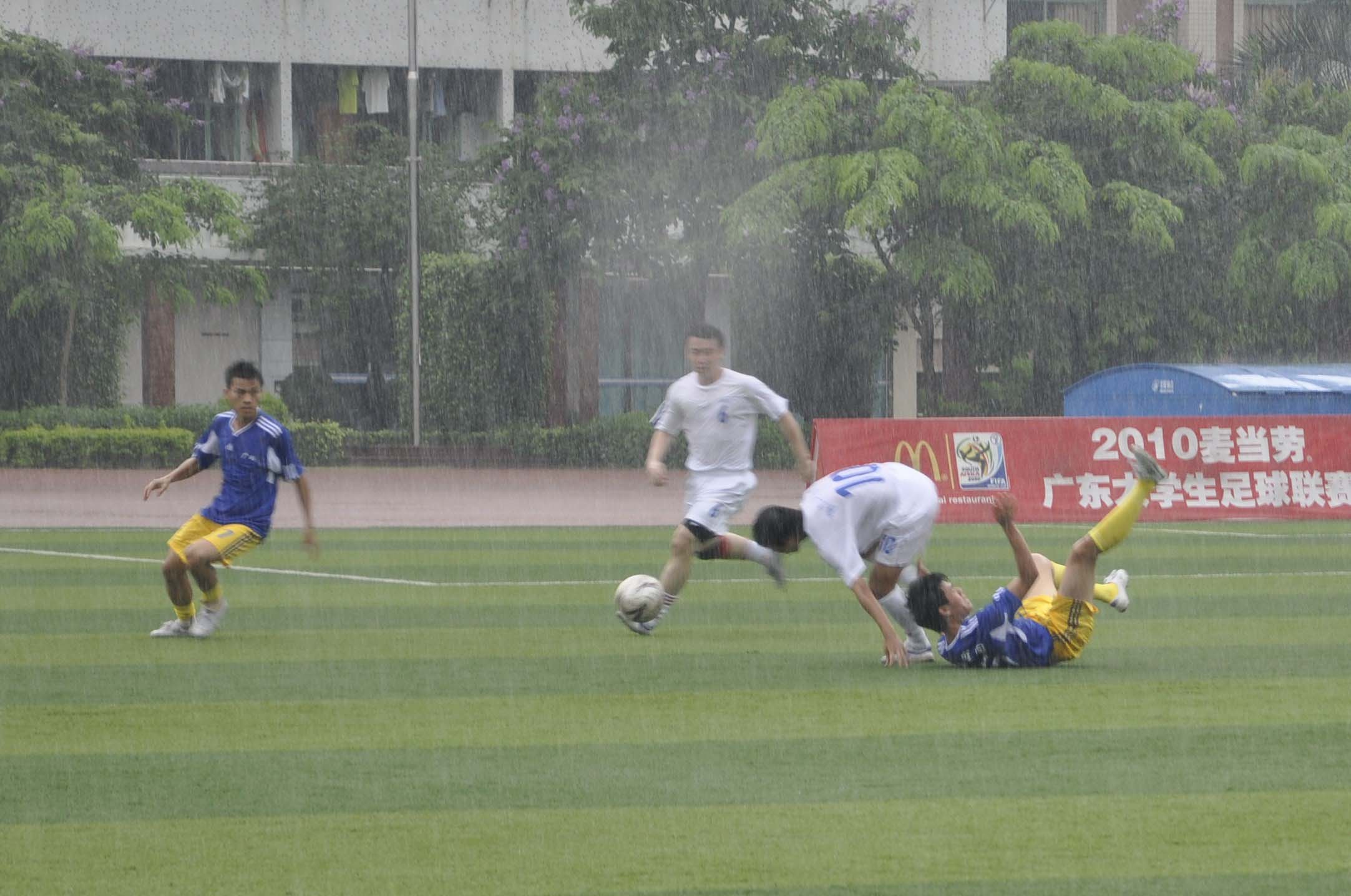 伟德bv国际体育