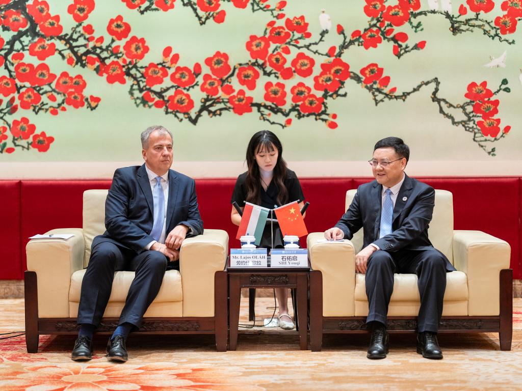 伟德bv国际体育