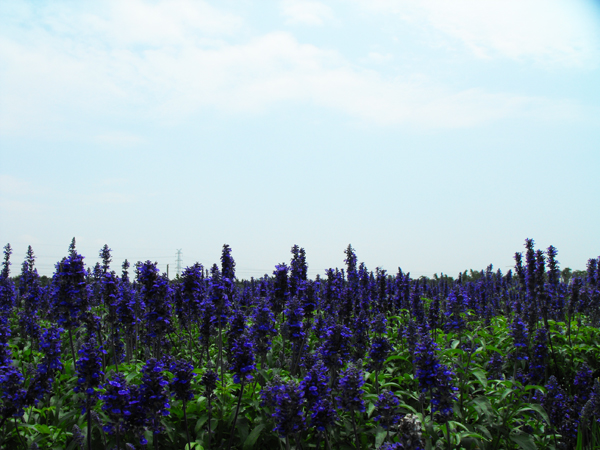 伟德bv国际体育