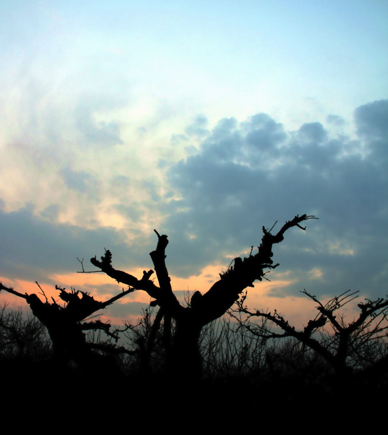 伟德bv国际体育