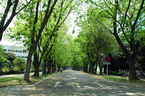 伟德bv国际体育