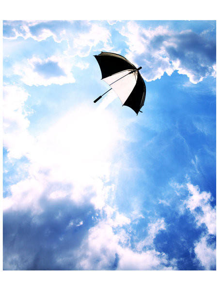 伟德bv国际体育