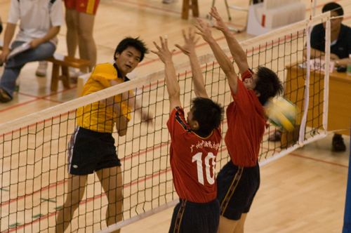 伟德bv国际体育