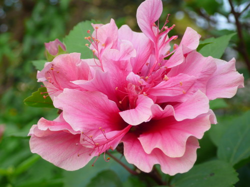 伟德bv国际体育