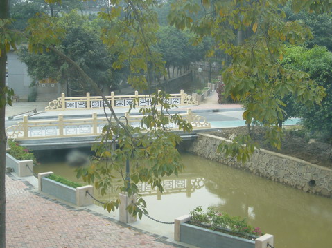 伟德bv国际体育