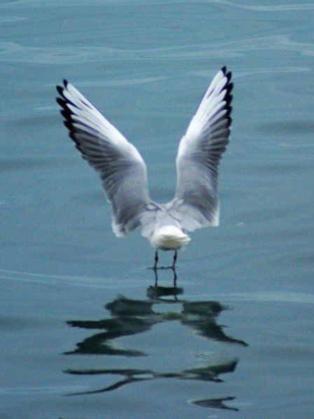 伟德bv国际体育