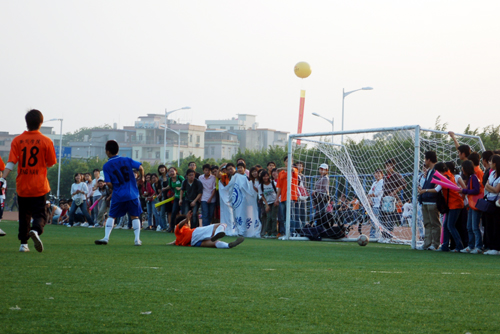 伟德bv国际体育