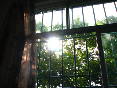 伟德bv国际体育