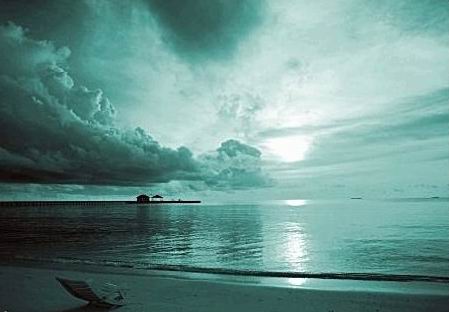 伟德bv国际体育