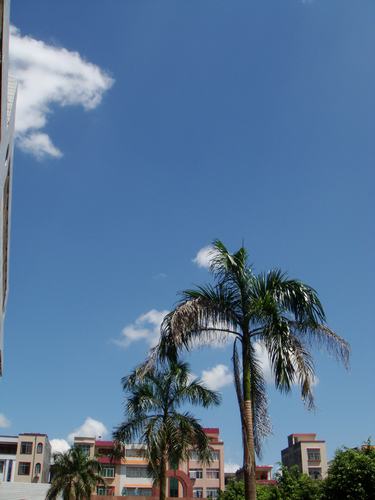 伟德bv国际体育