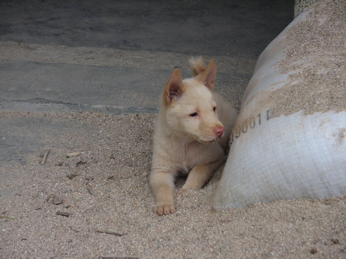 伟德bv国际体育