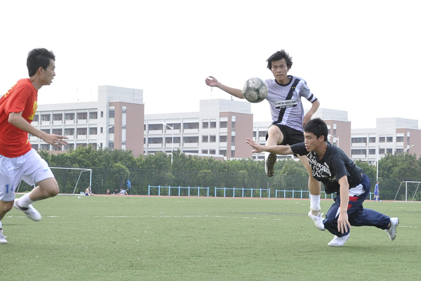 伟德bv国际体育