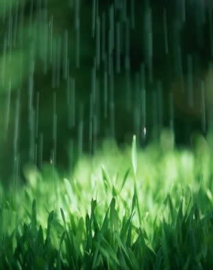 伟德bv国际体育