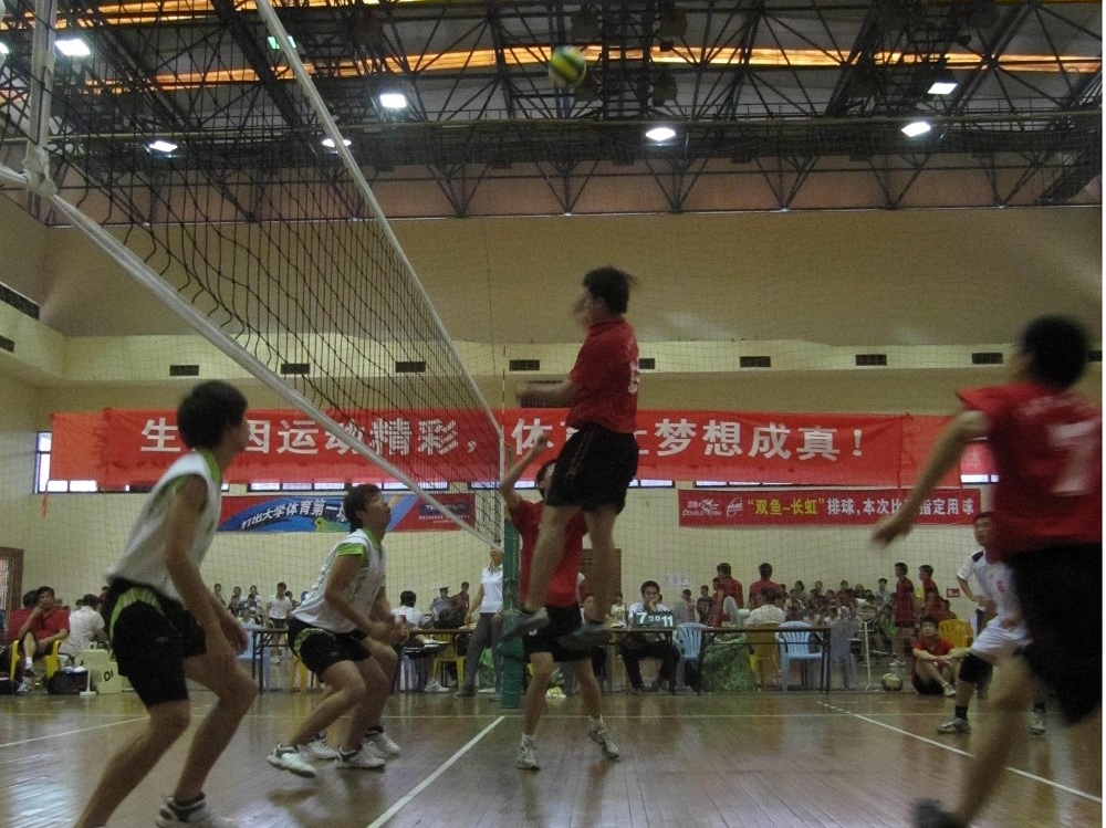 伟德bv国际体育