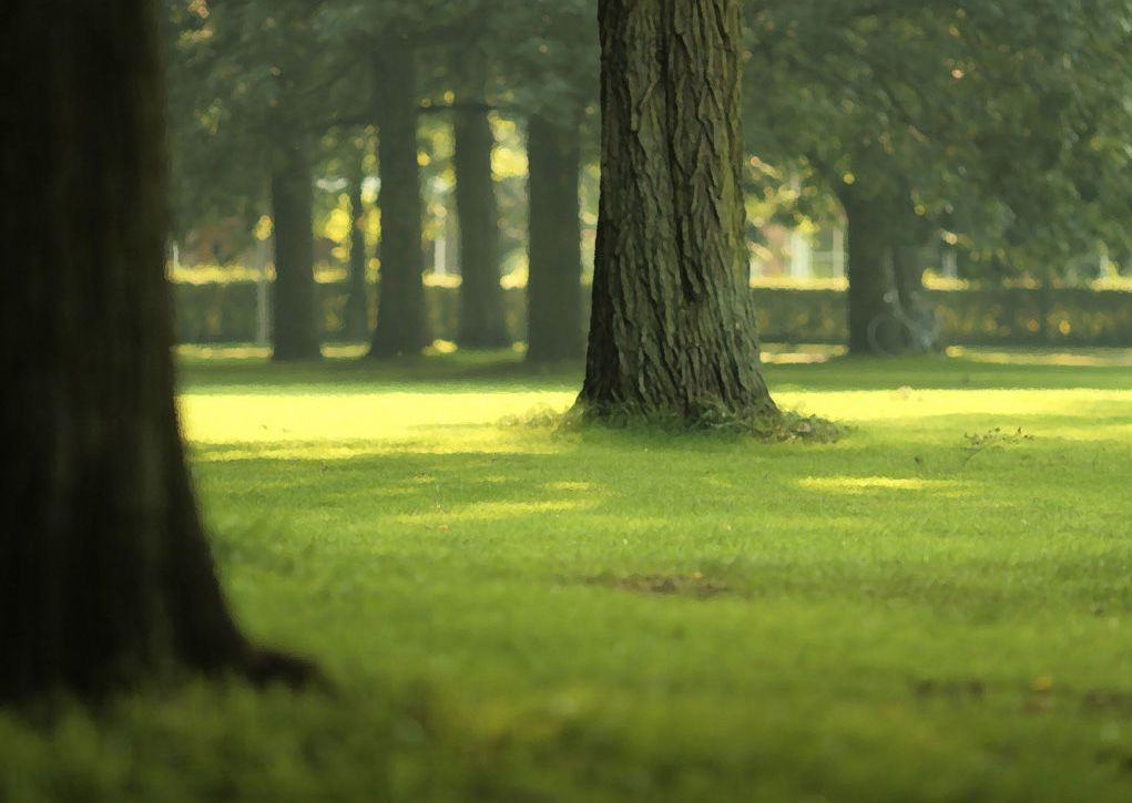 伟德bv国际体育