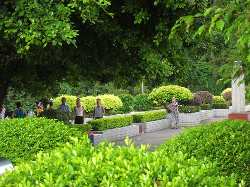 伟德bv国际体育