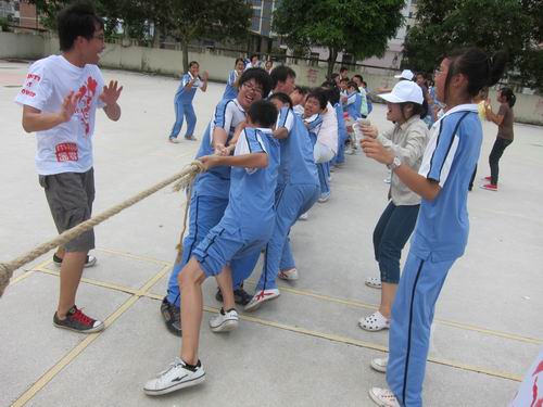 伟德bv国际体育