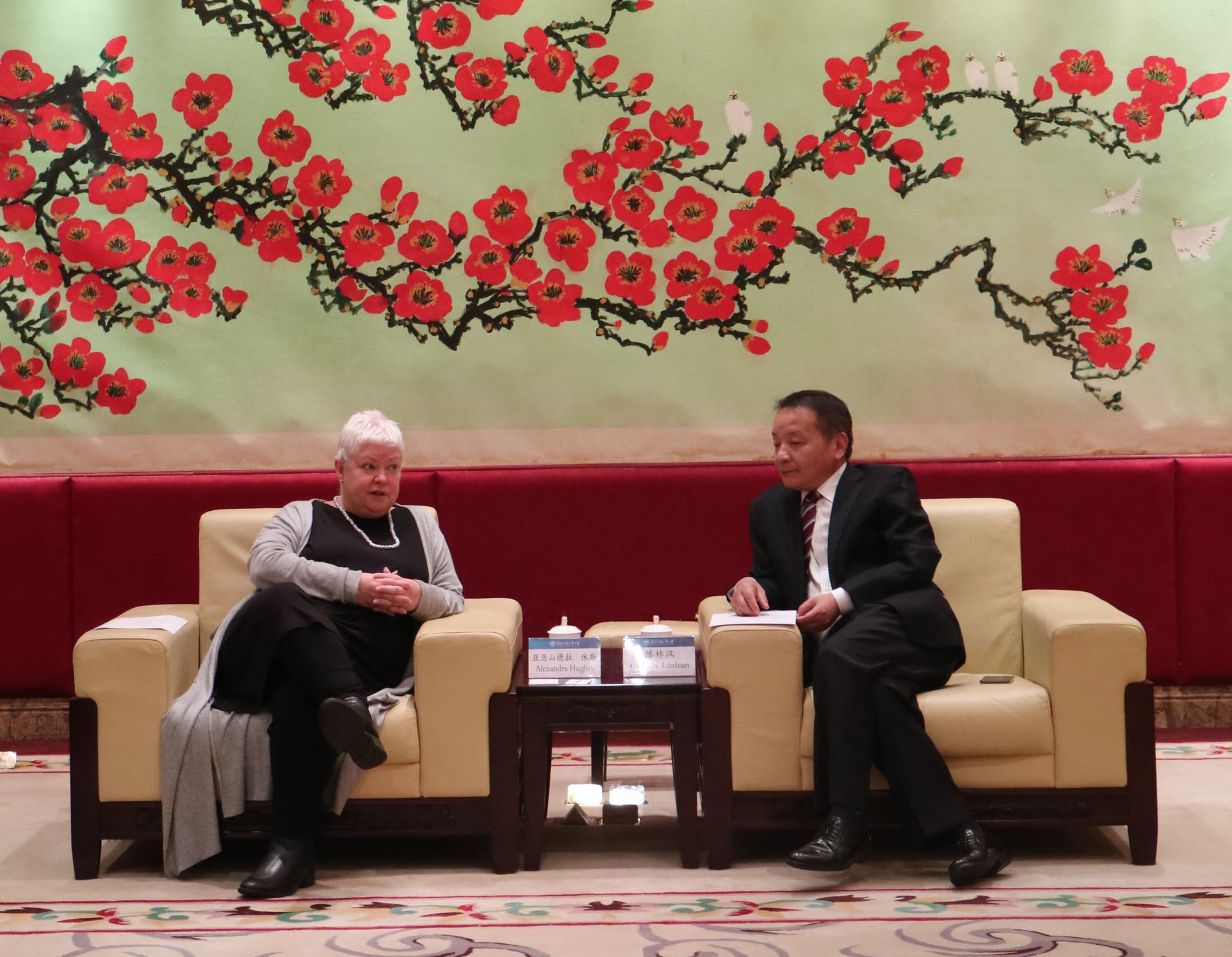 伟德bv国际体育