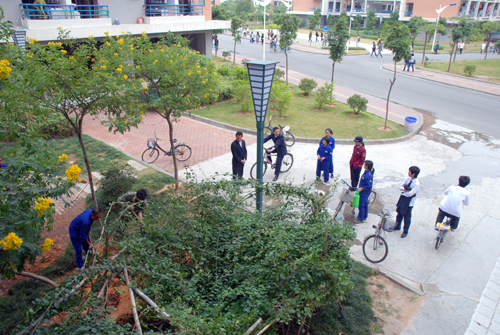 伟德bv国际体育