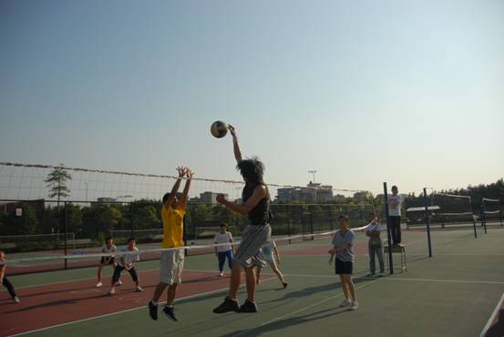 伟德bv国际体育