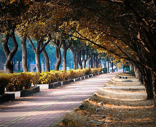 伟德bv国际体育