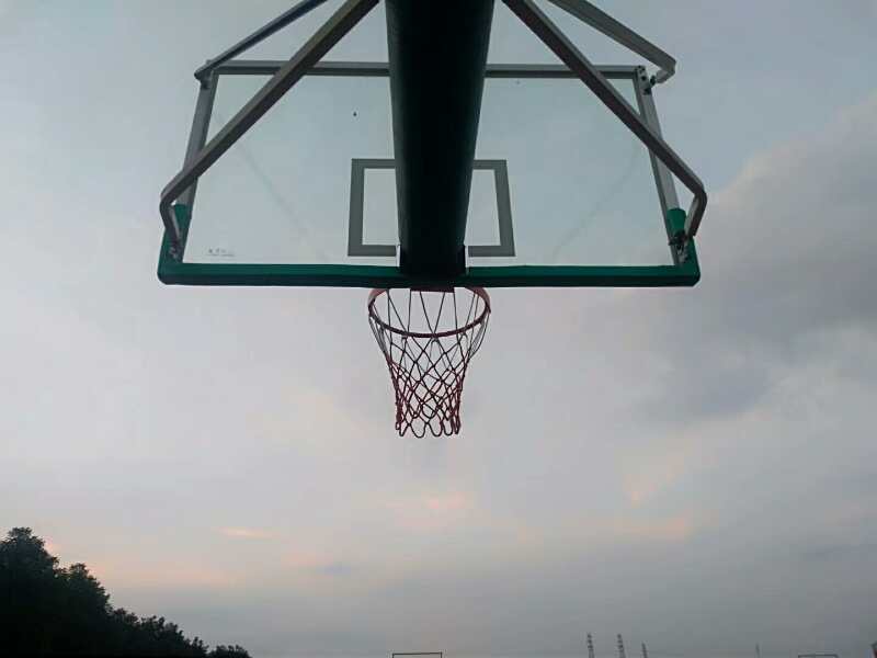 伟德bv国际体育