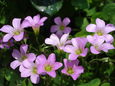 伟德bv国际体育