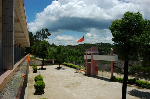 伟德bv国际体育