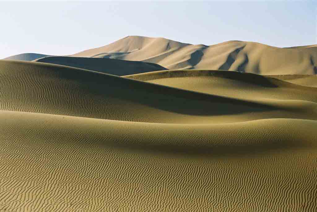 伟德bv国际体育