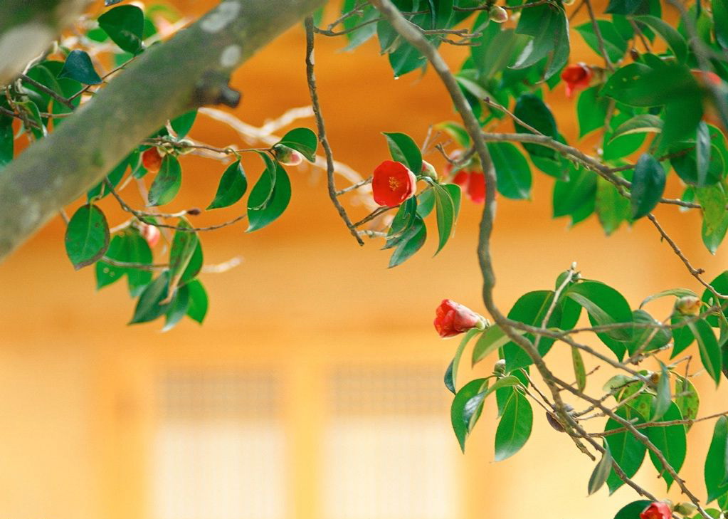 伟德bv国际体育