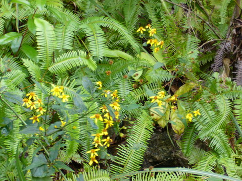 伟德bv国际体育