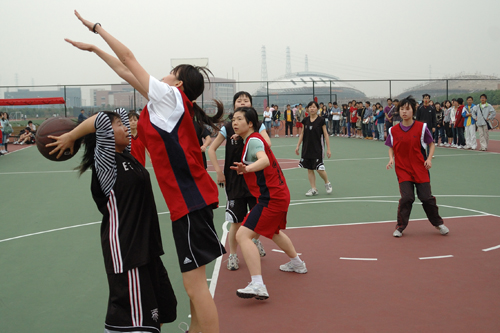 伟德bv国际体育