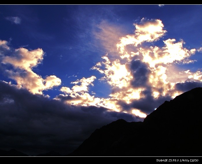 伟德bv国际体育