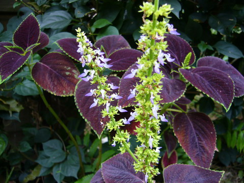 伟德bv国际体育