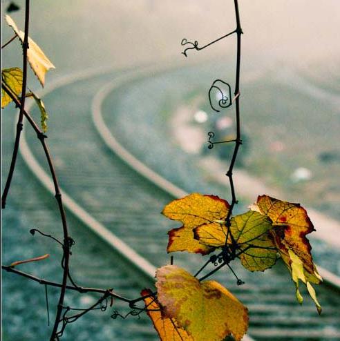 伟德bv国际体育