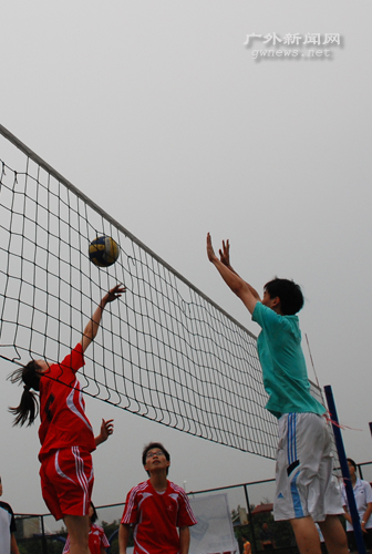 伟德bv国际体育