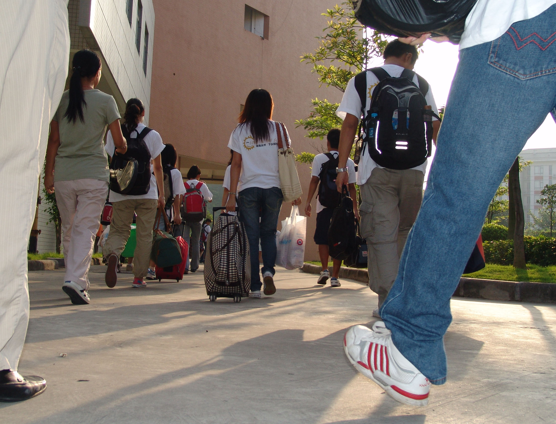 伟德bv国际体育