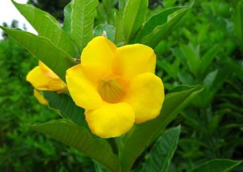 伟德bv国际体育